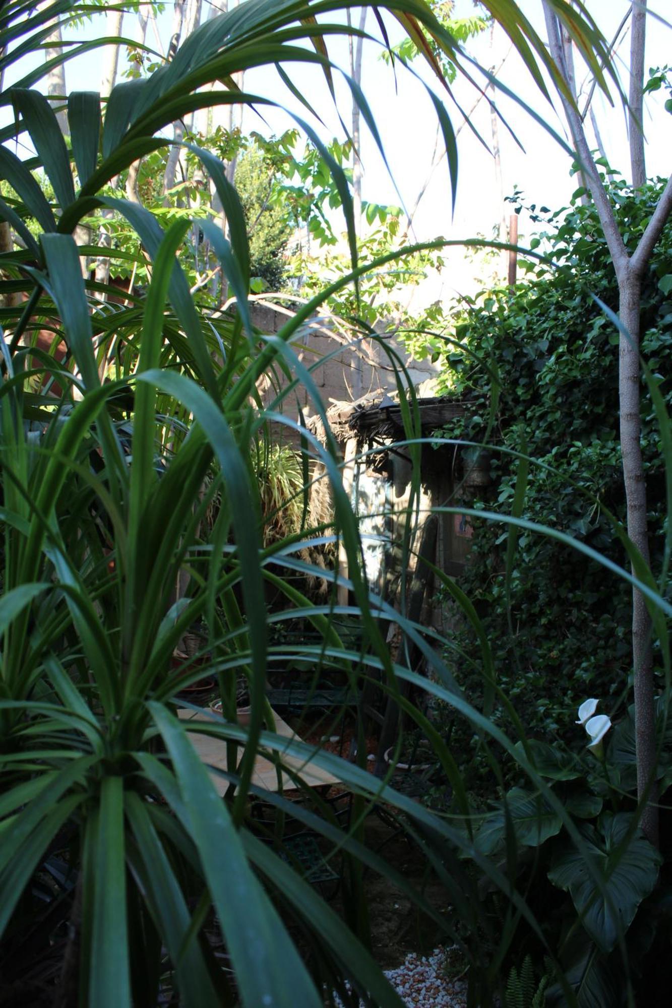 Bed and Breakfast Il Giardino Di Chiara Oristano Zewnętrze zdjęcie